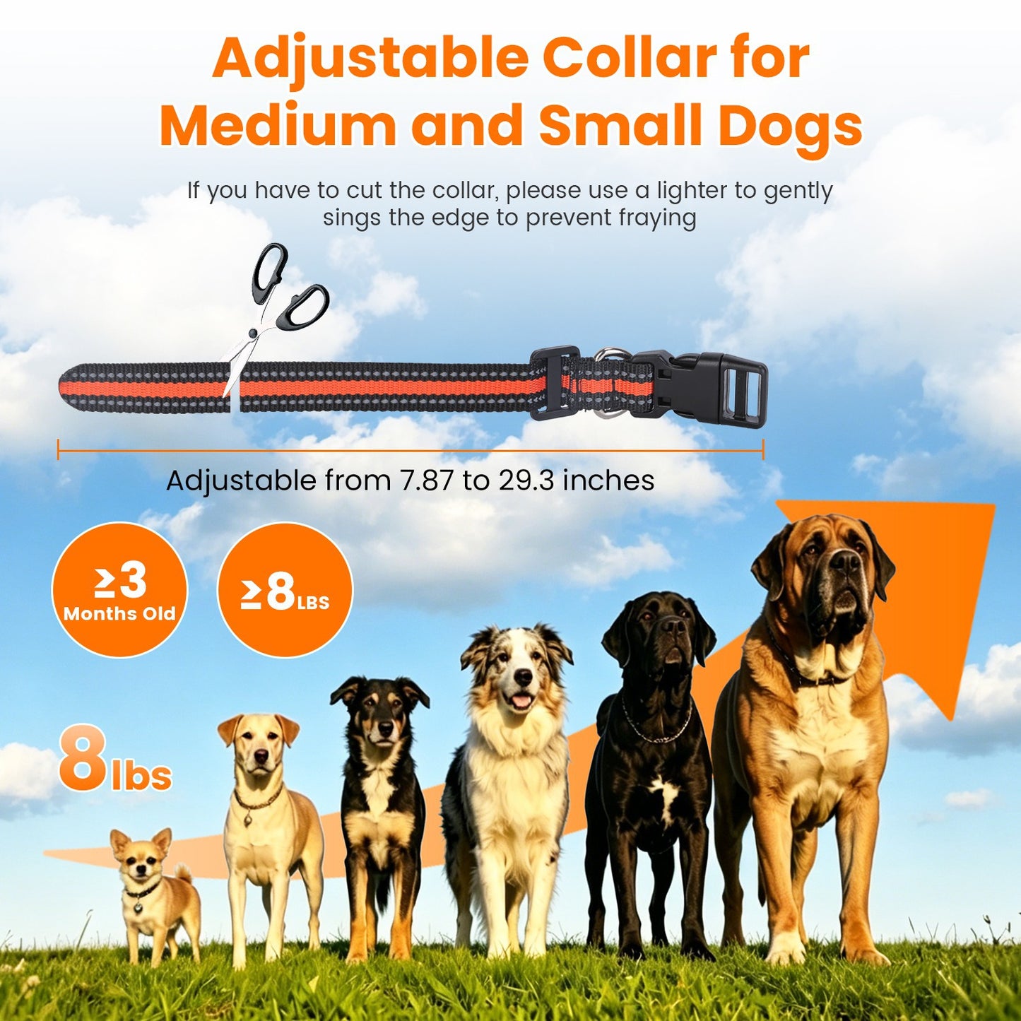 Wireless Dog Fence System with Training Collar, Waterproof, Adjustable Range 722FT
