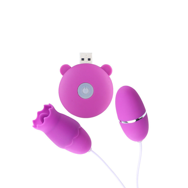 Women's Vibrating Masturbation Egg Pink Purple - Electric Female Wellness Device