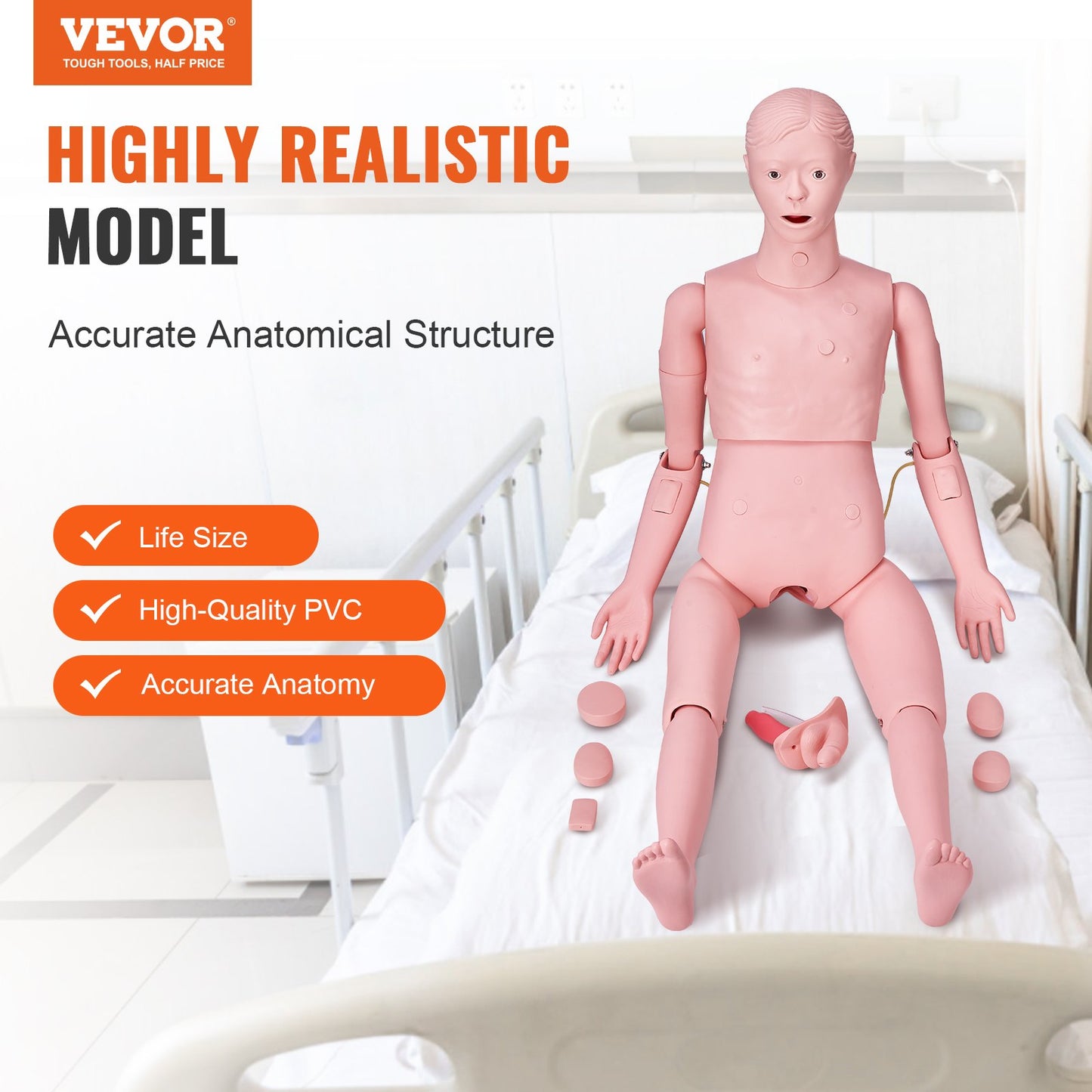 Lifesize Male Nursing Training Manikin - Anatomical Simulator Model