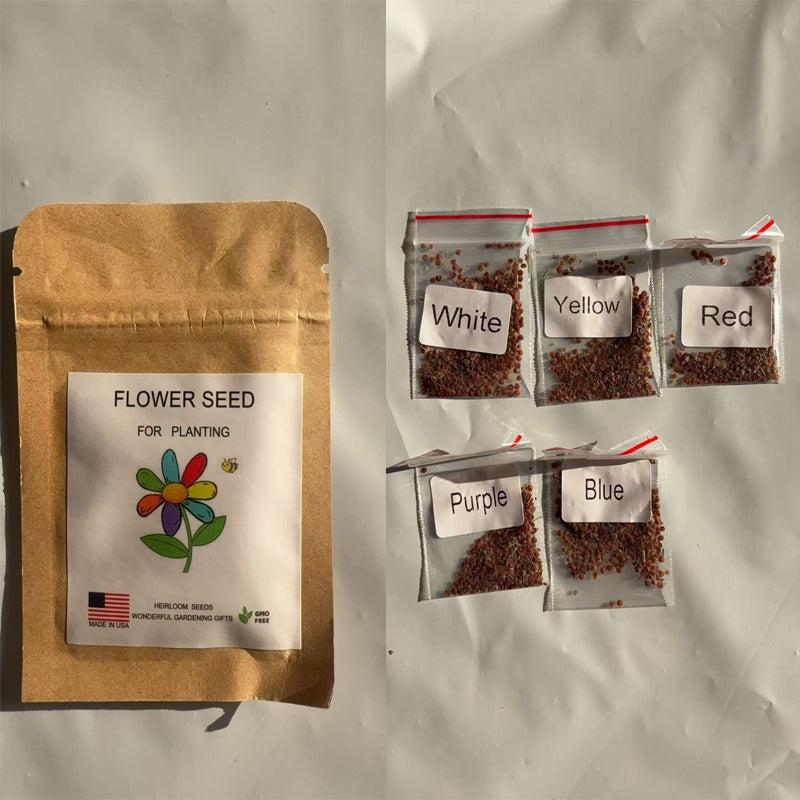 Mixed Climbing Plant Seeds Set - 5 Colors, Non-GMO Garden Seeds for Outdoor & Garden Use