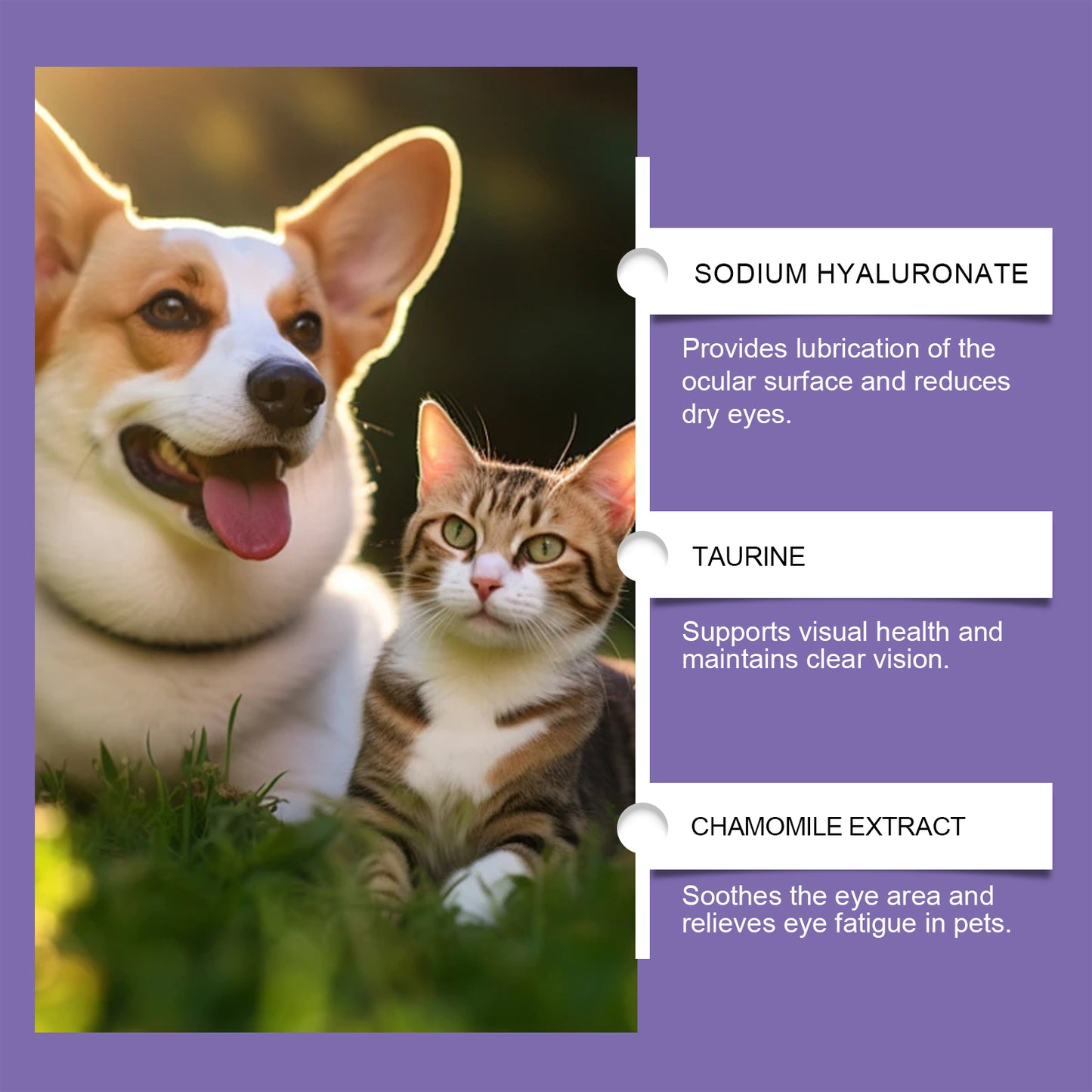 Pet Eye Rinse Solution for Dogs & Cats with Hyaluronic Acid & Honeysuckle 30ml + Cotton Swabs