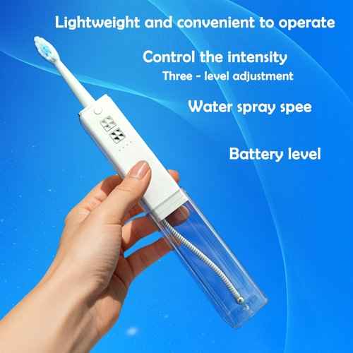 AIDBYIOT Water Flosser & Toothbrush Combo-Portable Dental Oral Irrigator, 4 Nozzles, 2 Brush Heads, Travel Case,IPX7 Waterproof.with Powerful Water Pump, Adjustable Water Pressure,1400 PPM. White