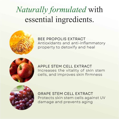 IDEN Signature Stem Cell Shampoo and Hair Masque Set, Promotes Healthy Hair Growth, Bee Propolis & Stem Cell Extracts, 12 fl.oz Each