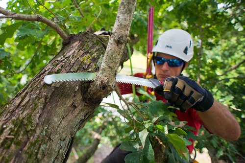 Silky Replacement Blade Only ZUBAT 270mm Large Teeth (271-27)