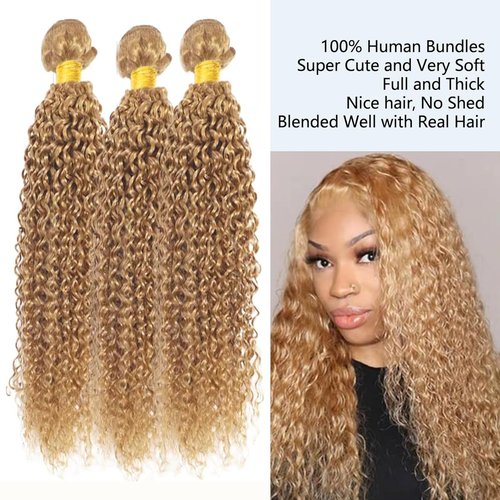 Fabimiya 14 16 18 Inch Human Hair Bundles Honey Blonde 27# Jerry Curly Bundles Human Hair 100% Unprocessed Soft Sewn In Hair with Double Weft for Black Women