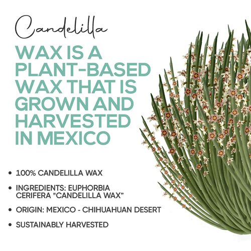 Candelilla Wax Pellets 2 lbs. Bulk 100% Pure Natual Food Grade Vegan Wax For DYI Lip Balm, Soap and Candle Making, Creams and Lotions. Great For Skin, Face, and Hair applications. Beeswax Alternative
