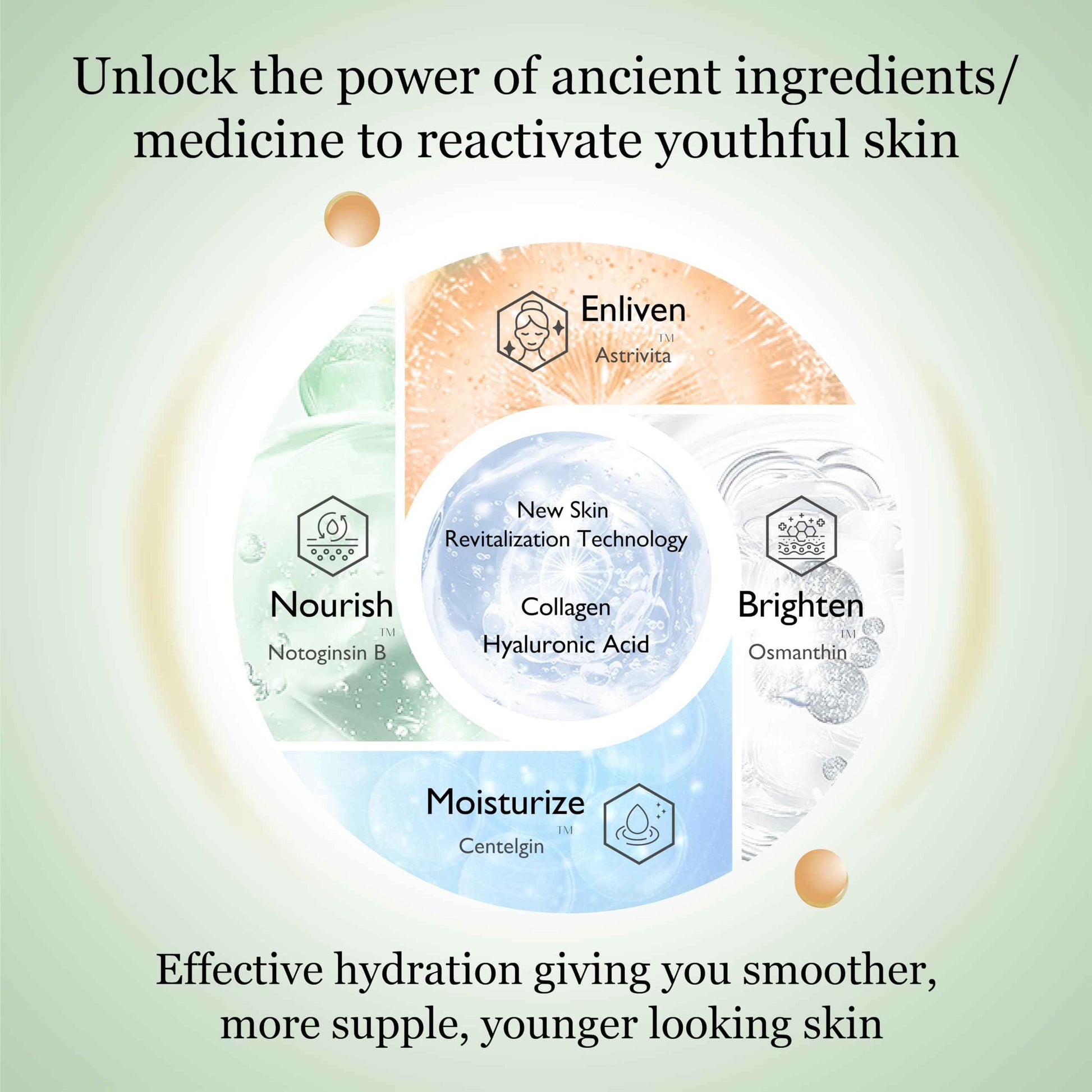 Jovclé Moisturizing Facial Essence, Luxurious Herbal Hydrating Serum for Face & Neck, Enriched with Centella Asiatica, Ginseng & Osmanthus, 1 fl. oz