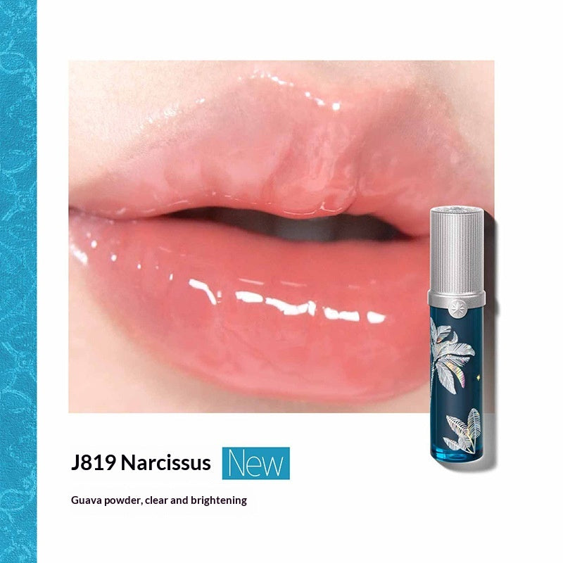 Moisturizing Lip Gloss Set with Vibrant Colors - Hydrating Lip Makeup