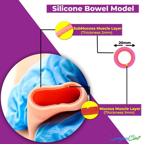 SurgicalSim Bowel Anastomosis Suture Practice Kit, End-to-Side Techniques, Includes 1 x Long and 1 x Short 0.8" Diameter Models, Tool Kit, Threads, Ideal for Practice, Demonstration, for Students