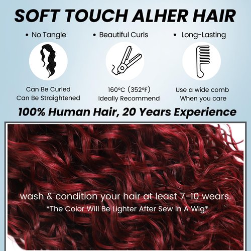 ALHER 99j Dark Burgundy Water Wave 13x6 HD Lace Frontal, 100% Unprocessed Virgin Remy Hair Pre Plucked With Baby Hair 12A Cherry Red Wine Color Wet n Wavy Curly Ear to Ear 13X6 Frontal Closure 16 Inch