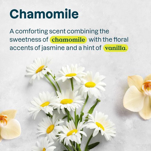 ATTITUDE Hair Conditioner for Sensitive Dry Scalp, For Thin Hair, Soothing Oat, Naturally Derived Ingredients, Dermatologically Tested, Vegan Detangler, Volume and Shine, 8 Fl Oz (Pack of 6)