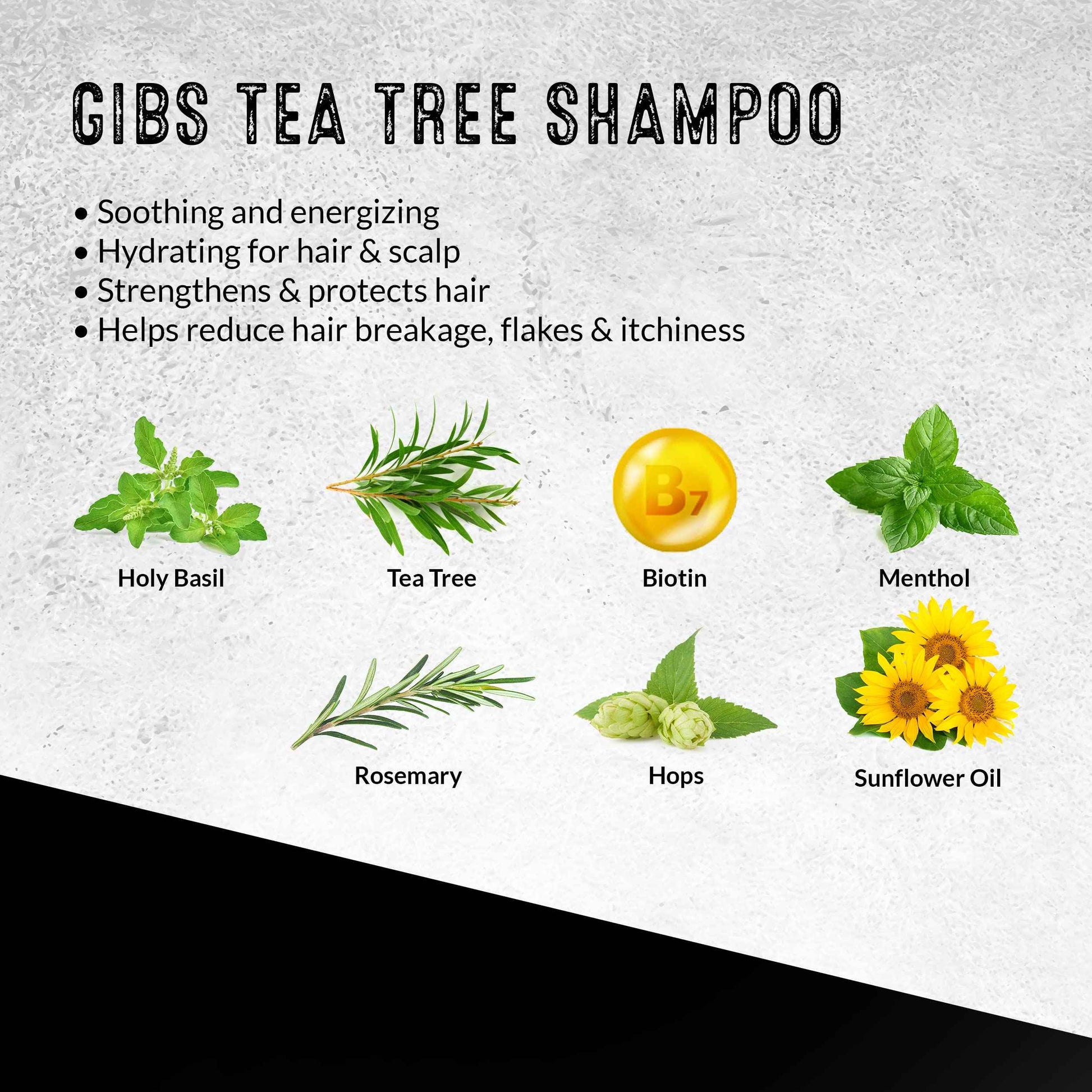 GIBS Tea Tree Shampoo & Conditioner Set, Each 1 Liter