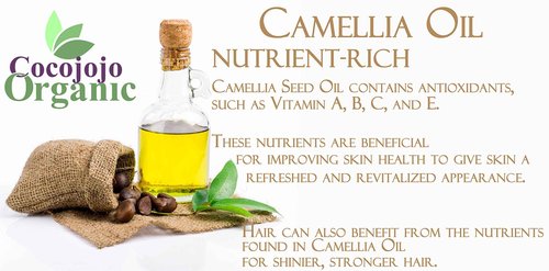 Dr Joe Lab Camellia Seed Oil 128 oz Pure Natural Cold Pressed Unrefined Extra Virgin Camellia Oil 1 Gallon - for Hair Skin Body Nails and Beard - Moisturizing, Soothing, Hydrating, & Nourishing