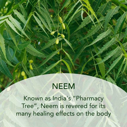 SUNDARI Neem and Triphala Body Oil - 3.4 Fl Oz, Nourishing Ayurvedic Formula, Deep Hydration, Skin Softening & Rejuvenation, All-Natural Ingredients