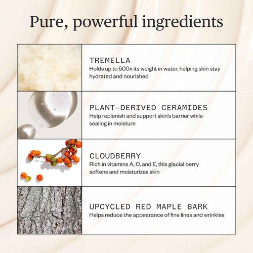 Ursa Major Alpine Rich Cream | Deeply Hydrating & Moisturizing Natural Face Lotion | Supports Skin Barrier and Targets Fine Lines | Vegan, Non-Toxic, Cruelty-Free | 1.69 ounce