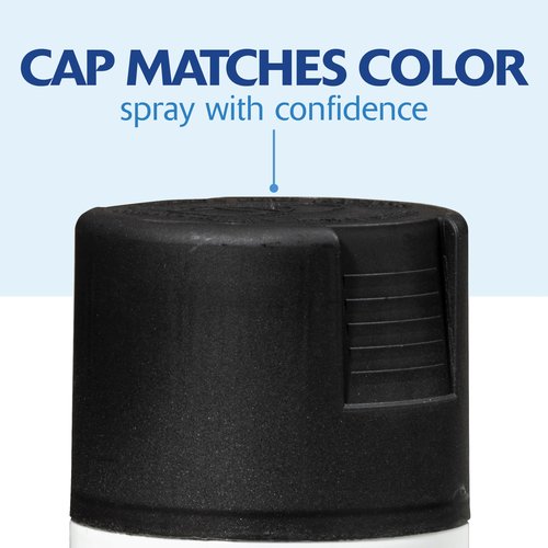 Rust-Oleum 331182 Painter's Touch 2X Ultra Cover Spray Paint, 12 oz, Ultra Matte Black
