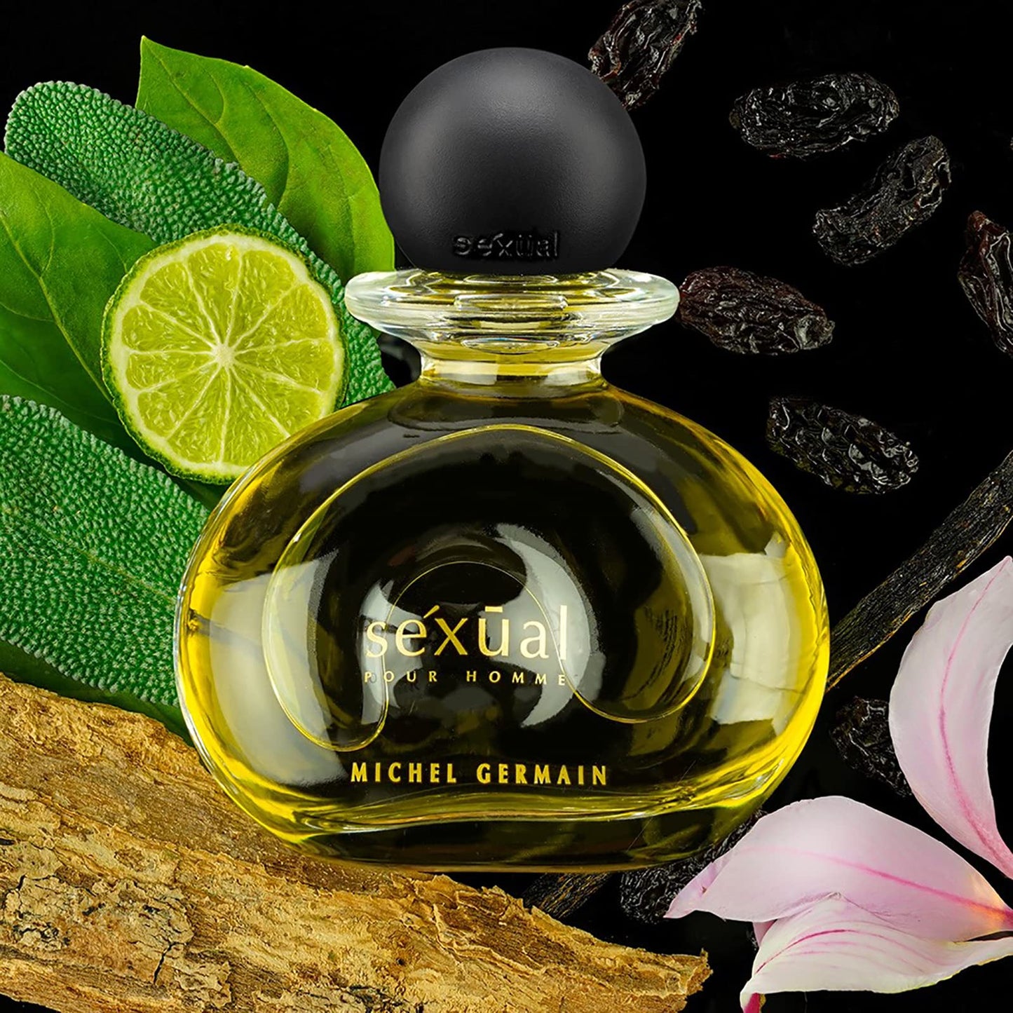 Michel Germain Sexual Pour Homme Eau de Toilette Spray, Top Notes of Indian Basil, Bergamot, Italian Clementine, French Melon, Natural Oils, 2.5 Fl Oz