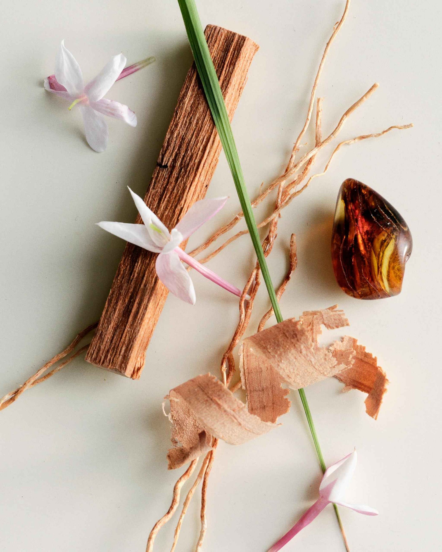 Maison Louis Marie - No.04 Bois de Balincourt Natural Eau de Parfum Spray | Luxury Clean Beauty + Non-Toxic Fragrance (1.7 fl oz | 50 ml)