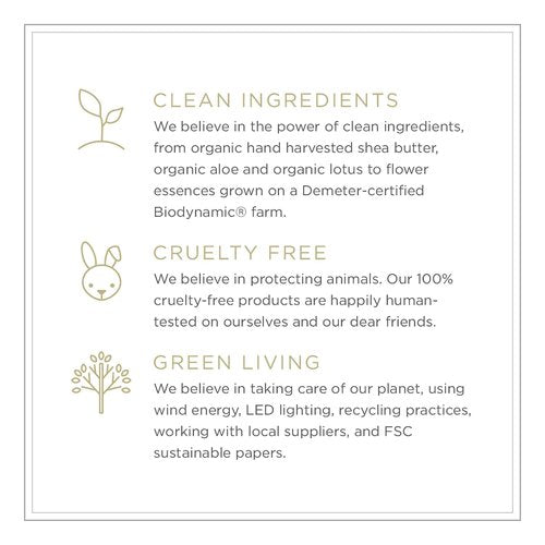 Zents Age-Defying Probiotic Lotion & Cashmere Body Oil Set (Ore Fragrance) | Moisturizing Lotion with Hyaluronic Acid & Organic Shea Butter | With Vitamin E & Coconut Oil | 6.4 fl oz & 8 fl oz