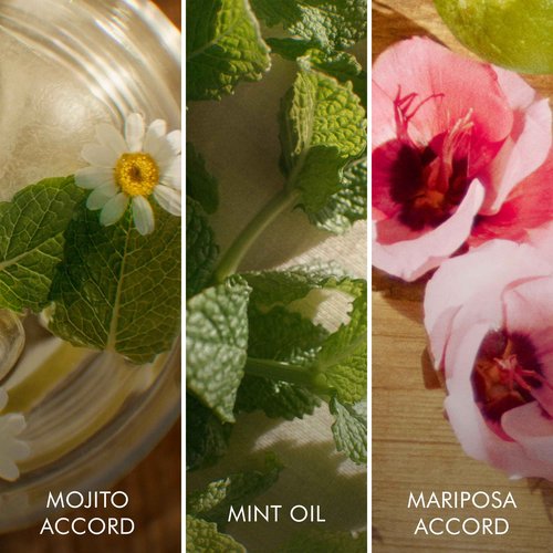 Escada Brisa Cubana Women's Eau de Toilette 1.6 fl oz