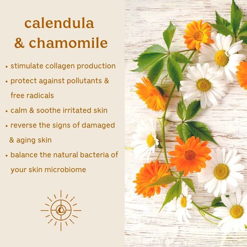 Plant-Based Anti-Aging Vitamin C Serum — Hydrating, Firming & Soothing Facial Serum — Hyaluronic Acid, Asc2P & Botanicals — Solluna by Kimberly Snyder (1oz) Vegan, Cruelty-Free, Non-Toxic & Non-GMO