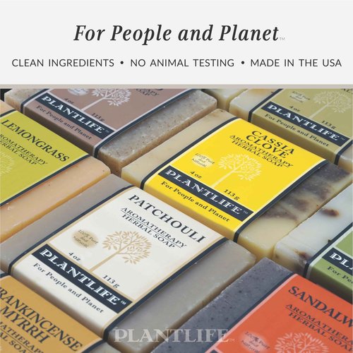 Plantlife Cassia Clove 6-pack Bar Soap - Moisturizing and Soothing Soap for Your Skin - Hand Crafted Using Plant-Based Ingredients - Made in California 4oz Bar