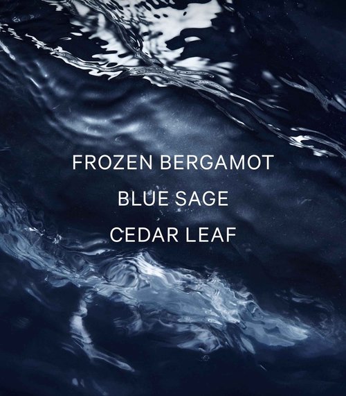 Victoria's Secret VS Him Deepwater Men's Cologne (3.4 oz)