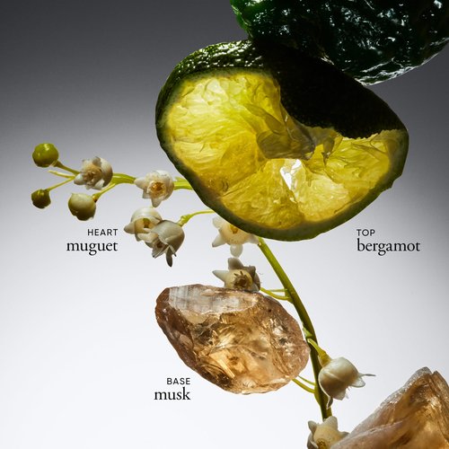 philosophy Amazing Grace Firiming Body Emulsion and Unscented Hand Cream Bundle