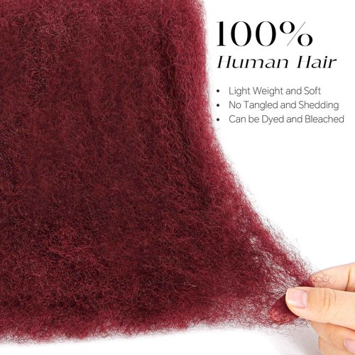 BLL Afro Kinkys Bulk Human Hair-100% Human Hair for Mini Twist Braiding Dreadlock Loc Extensions Afro Kinky Curly Hair Bulk Black Color (99J, 22 Inch Pack Of 1)