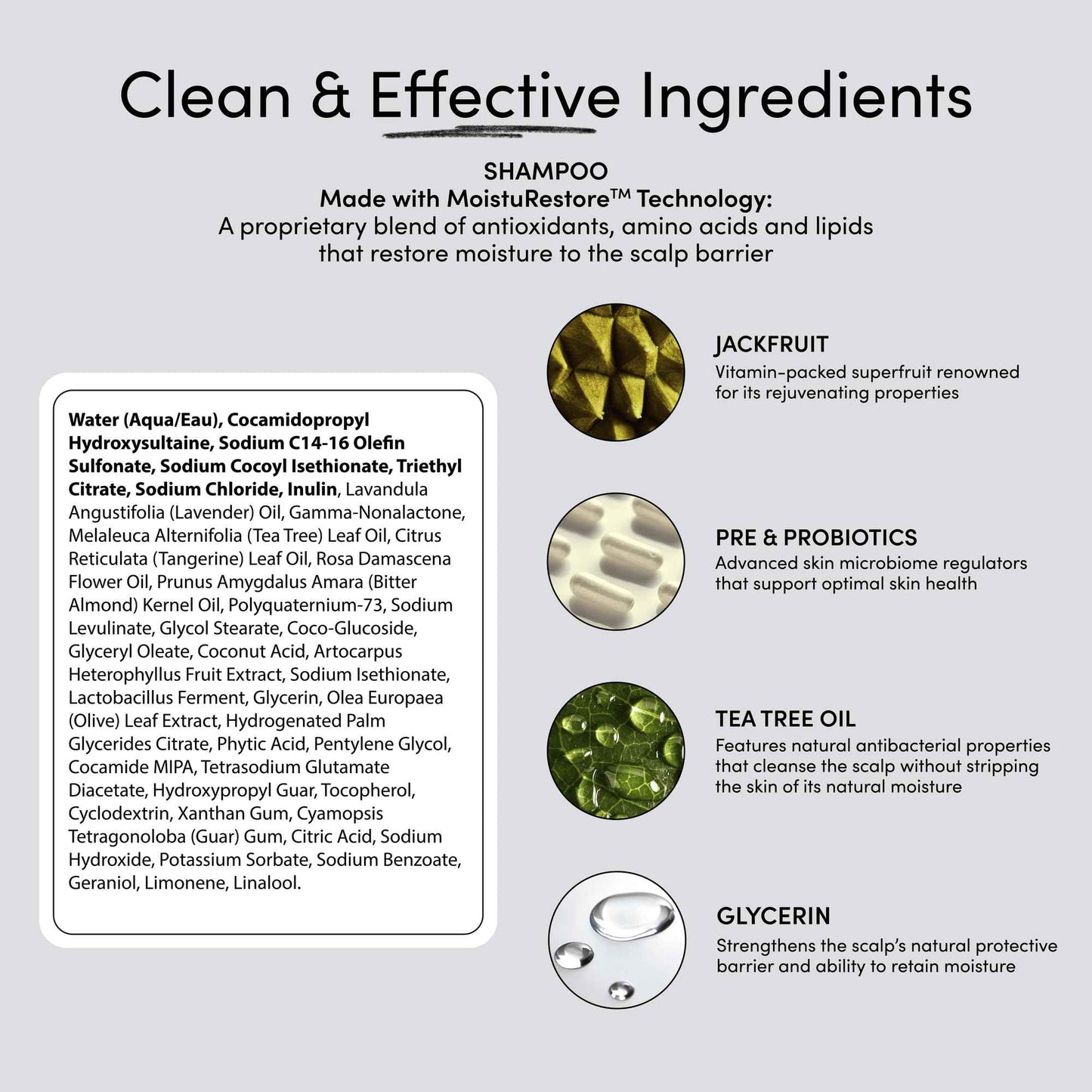 Jupiter Hydrating Shampoo, Conditioner, and Scalp Moisturizer Set – Moisturizing, Nourishing, and Strengthening Hair Care – Daily Scalp & Hair Hydration – Color-Safe, Sulfate-Free, Paraben-Free