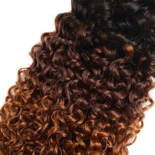 Peenoll Human Hair Bundles 20 22 24 Inch Omber Chocolate Brown T1B/4/30 Jerry Curly Bundles Human Hair 100% Unprocessed Soft Sewn In Hair for Black Women with Double Weft