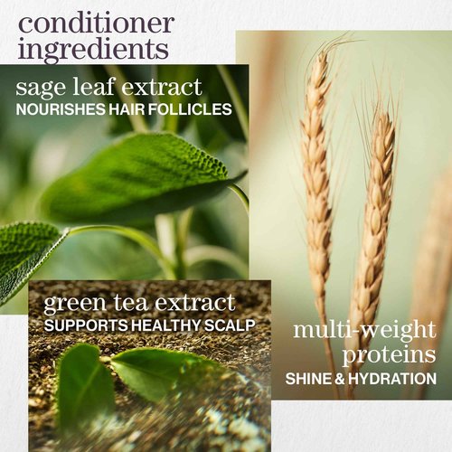 Pureology Hydrate Shampoo & Conditioner Set - For Dry or Color-Treated Hair, Intense Hydration & Softness, With Rose Extract & Green Tea, Vegan & Sulfate-Free, 9 Fl Oz