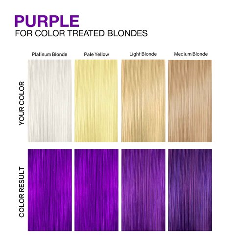 Viral Purple Healthy Duo
