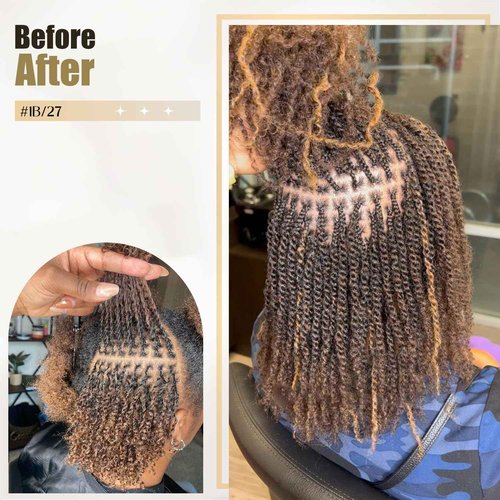 Afro Kinky Bulk Human Hair, 4C, 50g/pack, Braiding Hair for Mini Twists and Sister Locs (#1b/27 18inch)