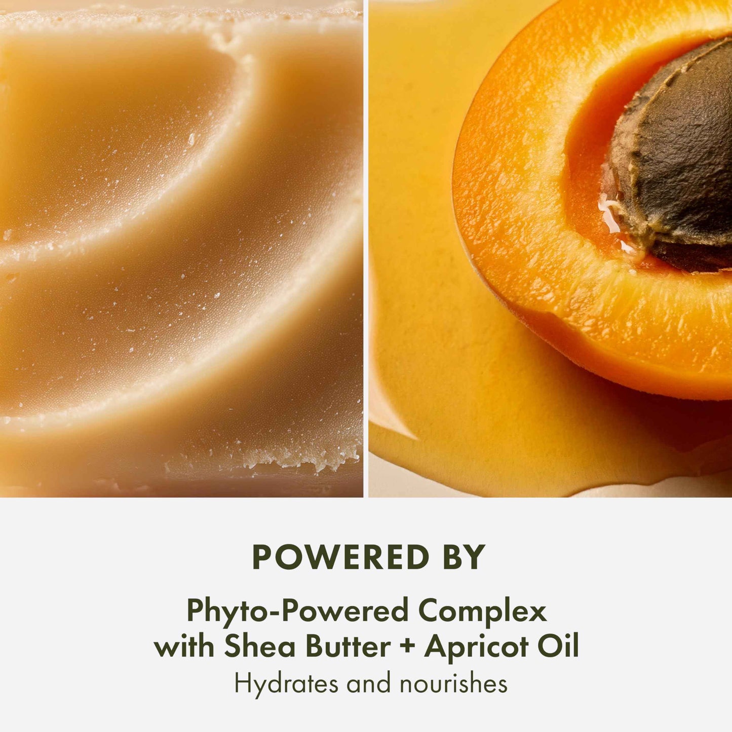 Origins Plantfusion Hydrating Body Cream | Instantly Softens Dry Skin & Smooths Skin Over Time | With Shea Butter & Salicylic Acid, 6.7 Fl Oz