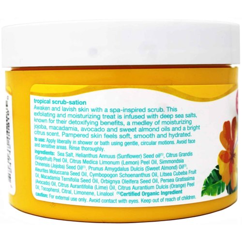 Alba Botanical Body Scrub Sea Salt, 14.5 Ounce (Pack of 6)