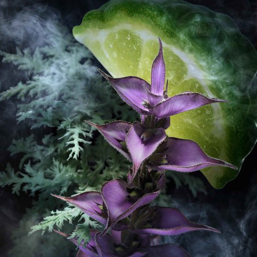 Davidoff Champion Eau de Toilette – Woody Men's Cologne – With Notes of Bergamot, Clary Sage & Oakmoss – Long Lasting Fragrance