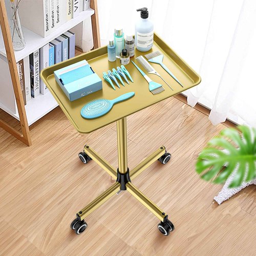 Salon Tray for Hair Stylist - Tattoo Tray Cart With Wheels, Rolling Trolley