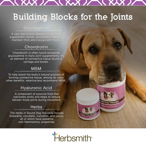 Herbsmith Sound Dog Viscosity – Advanced Joint Support for Dogs – Veterinarian Recommended Glucosamine for Dogs, Hyaluronic Acid, Chondroitin, MSM – Natural Arthritis Pain Relief – 120ct Large Chews