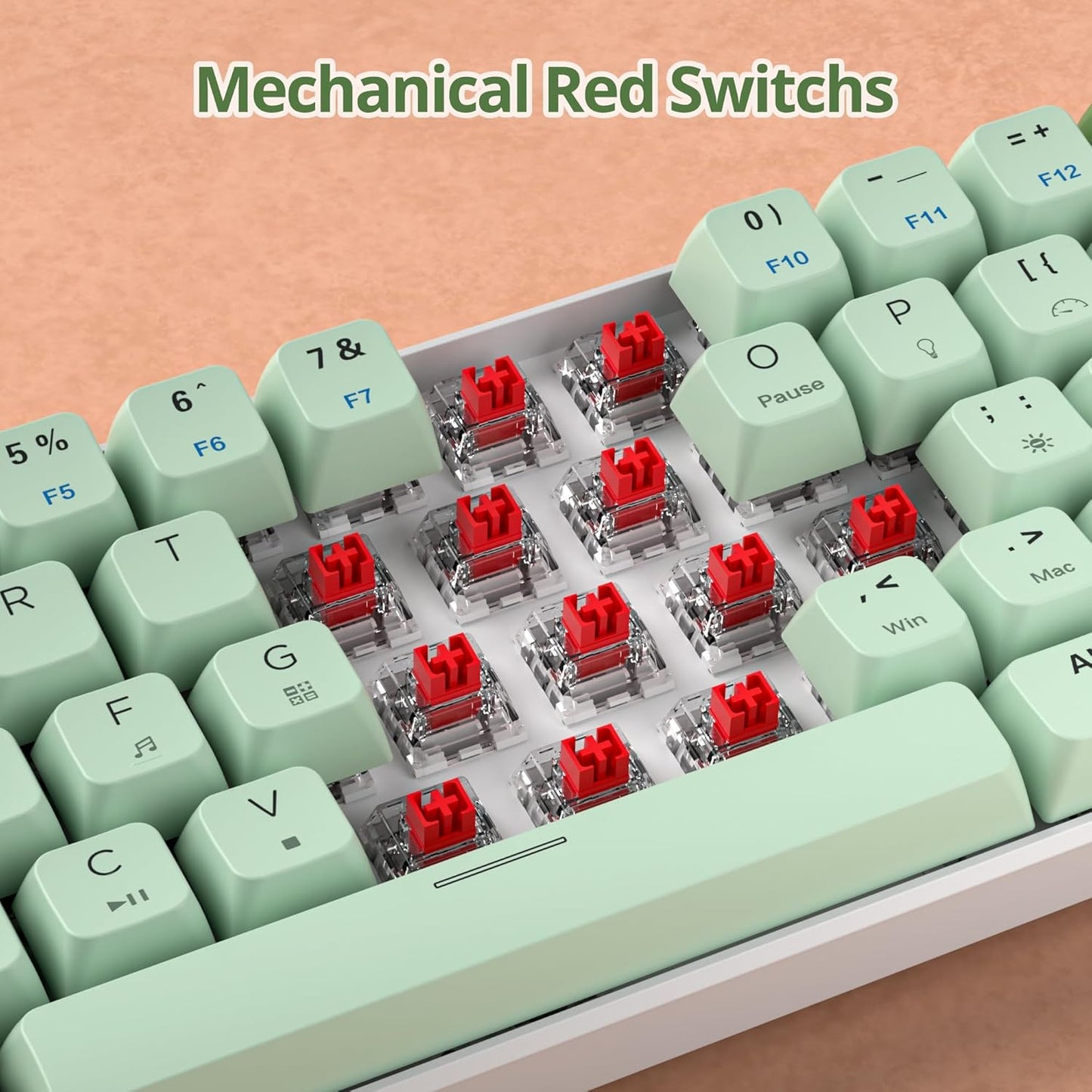 60 Percent Gaming Keyboard Mechanical with Linear Red Switch, 65% Wired Ultra-Compact Mini Keyboard Rainbow with PBT Keycaps for Ps4/Ps5/Xbox(68 MonsterB)
