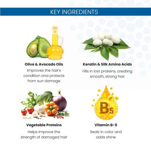 ALOXXI Hydrating Shampoo for Color Treated Hair with Keratin & Silk Amino Acids and ColourCare Complex, 33.8 Fl Oz