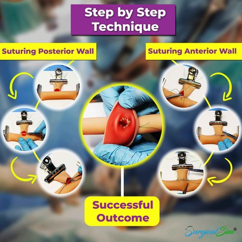 SurgicalSim Bowel Anastomosis Suture Practice Kit, End-to-Side Techniques, Includes 1 x Long and 1 x Short 0.8" Diameter Models, Tool Kit, Threads, Ideal for Practice, Demonstration, for Students