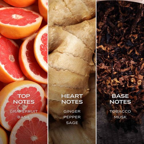 Intelligent Gold Eau de Parfum | Cologne for Men | Rich, Charismatic, Perfection | 3.4 Fl Oz (100 mL)