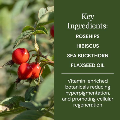 Elina Organics Super Antioxidant Night Cream, 2oz – Hydrating Night Moisturizer with Rosehips, Sea Buckthorn & Hyaluronic Acid – Vegan, Organic