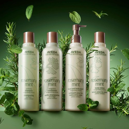 Aveda Rosemary Mint Hand & Body Wash | Liquid Hand Soap and Body Wash | with Invigorating Aroma of Certified Organic Peppermint & Rosemary, 33.8 Fl Oz
