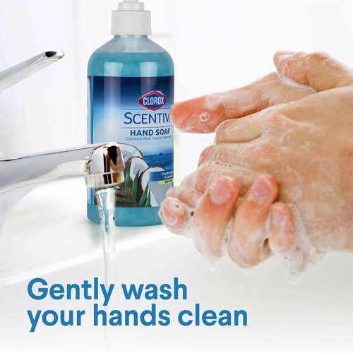 CLOROX Scentiva Liquid Hand Soap, Pacific Breeze & Coconut Scent - Bleach-Free Scented Hand Hand Wash with Aloe Vera & Provitamin B5 for Kitchen or Bathroom, 14 Fl Oz - 12 Pack
