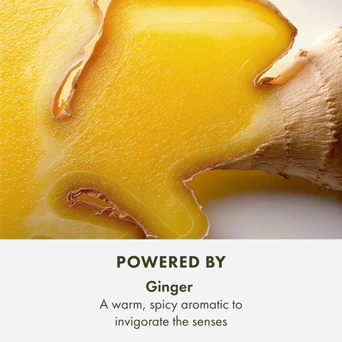 Origins Ginger Essence Perfume | With Notes of Bergamot, Lemon & Lime, 3.4 Fl Oz