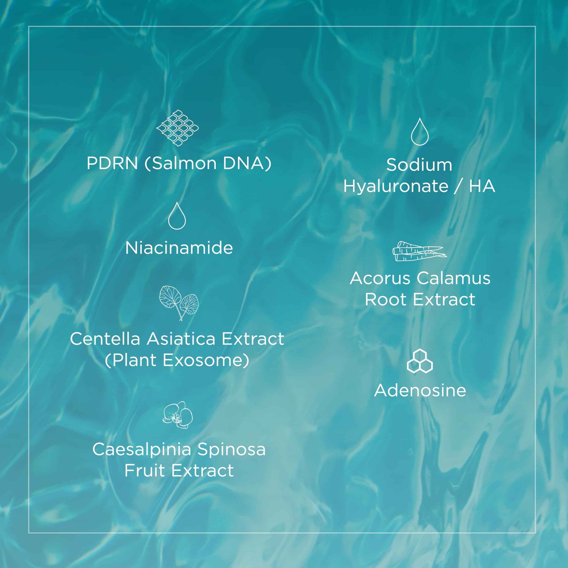 LumEnvy Salmon DNA Glass Skin Serum - Hydrating Korean Skincare Face Serum with PDRN, Niacinamide & Centella Asiatica | Brightening, Dry Skin, Anti-Aging, Dark Spots & Wrinkles | 30ml