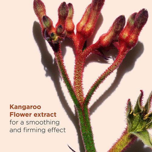 Clarins Total Eye Smooth | 2-In-1 Anti-Aging Eye Cream and 10-Minute Eye Mask | Minimizes Appearance Of Wrinkles, Dark Circles and Puffiness | Visibly Firms and Smoothes | All Skin Types | 0.5 Ounces