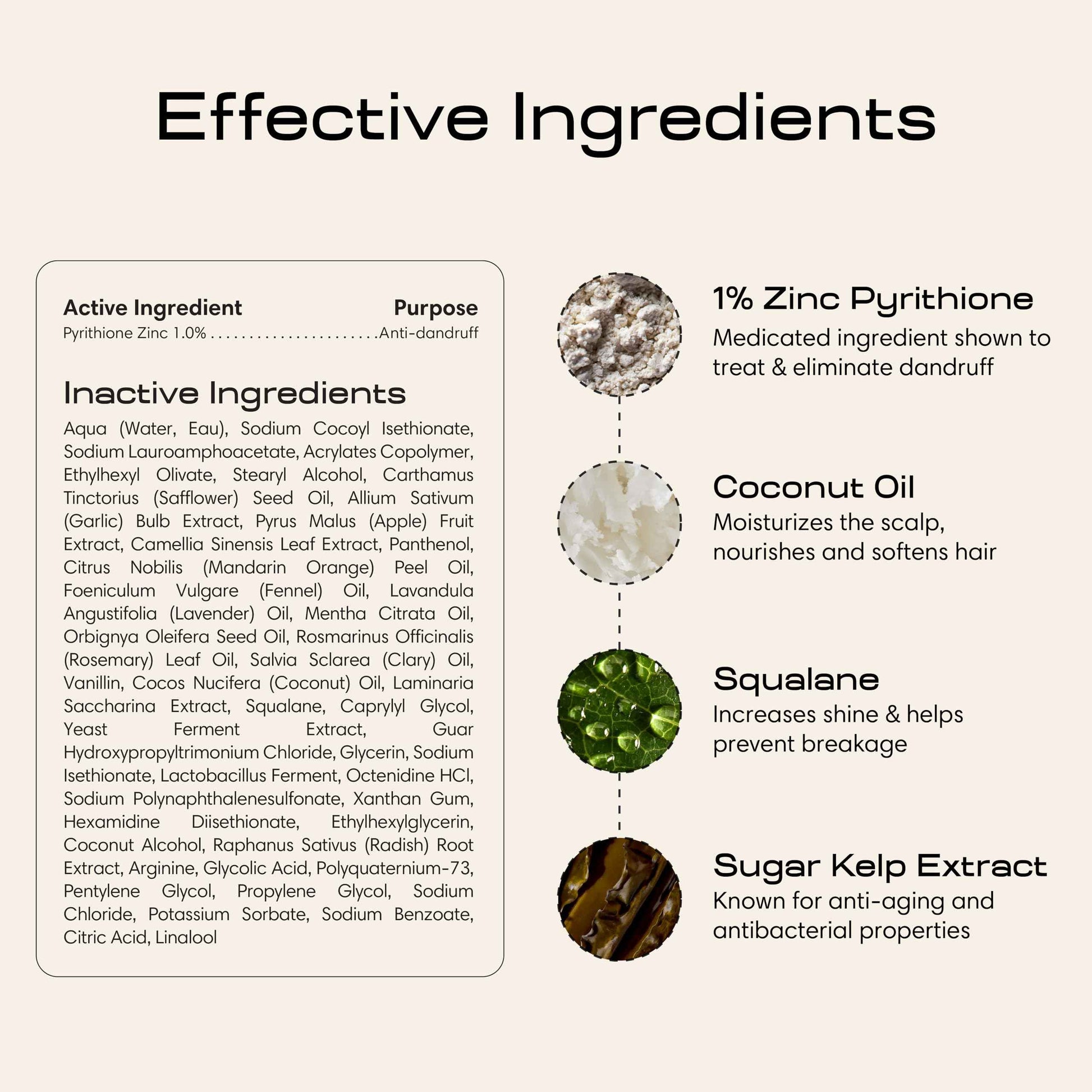 Jupiter Anti Dandruff Shampoo, Conditioner, & Scalp Scrubber for Flaky, Itchy & Dry Scalp - Hydrates & Reduces Flakes - Scalp Treatment & Hair Care Set - Color-Safe, Sulfate-Free, Paraben-Free